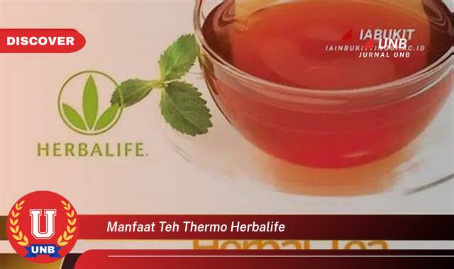8 Manfaat Teh Thermo Herbalife yang Wajib Kamu Intip
