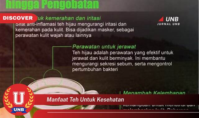 9 Manfaat Teh untuk Kesehatan yang Wajib Kamu Ketahui