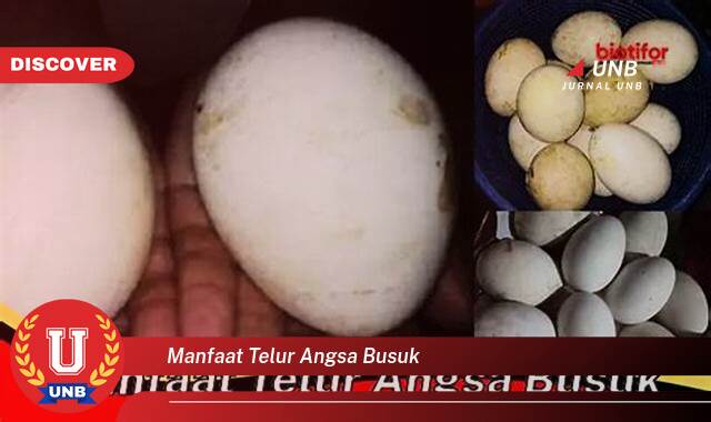 Temukan 8 Manfaat Telur Angsa Busuk untuk Kesehatan dan Kecantikan Kulit