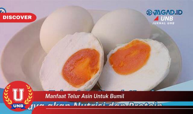 Ketahui 9 Manfaat manfaat telur asin untuk bumil yang Jarang Diketahui