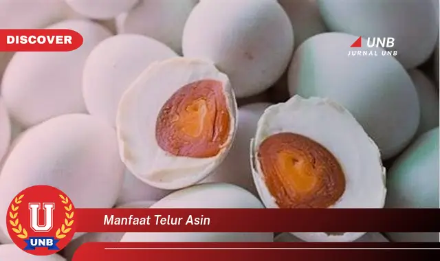 manfaat telur asin