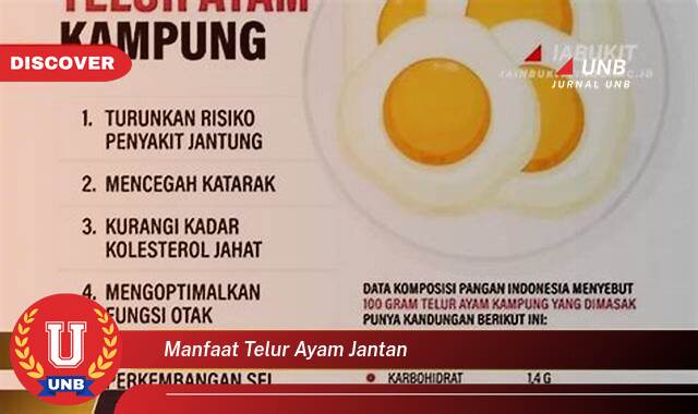 Temukan 8 Manfaat Telur Ayam Jantan, Mitos vs. Fakta & Khasiat yang Sebenarnya