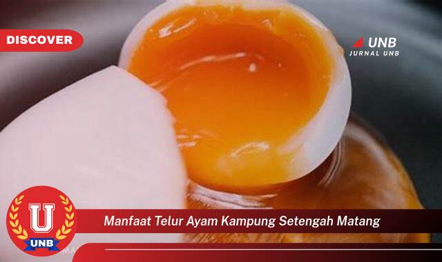 Temukan 8 Manfaat Telur Ayam Kampung Setengah Matang untuk Kesehatan Anda