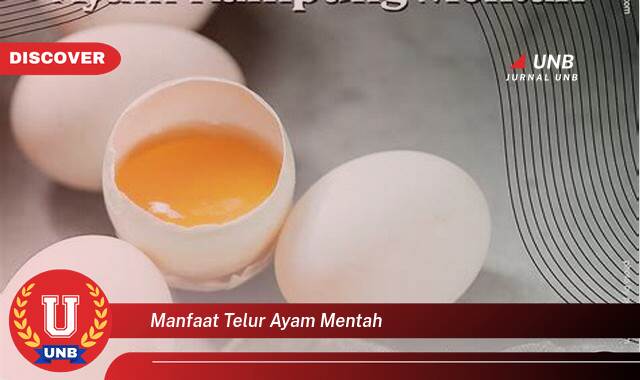 9 Manfaat Telur Ayam Mentah yang Jarang Diketahui