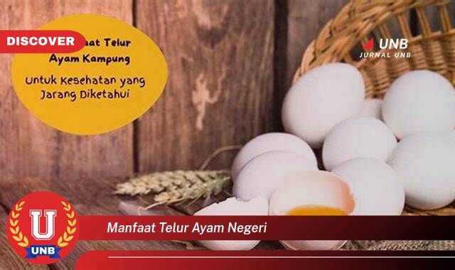 Temukan 8 Manfaat Telur Ayam Negeri yang Jarang Diketahui