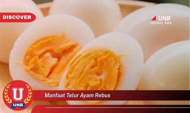9 Manfaat Telur Ayam Rebus yang Jarang Diketahui