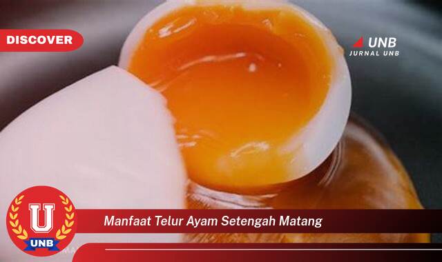 Temukan 8 Manfaat manfaat telur ayam setengah matang yang tidak Semua Orang Tau