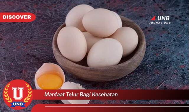 Ketahui 8 Manfaat manfaat telur bagi kesehatan yang Jarang Diketahui