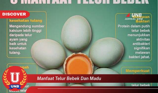 Ketahui 8 Manfaat manfaat telur bebek dan madu yang tidak Semua Orang Tau