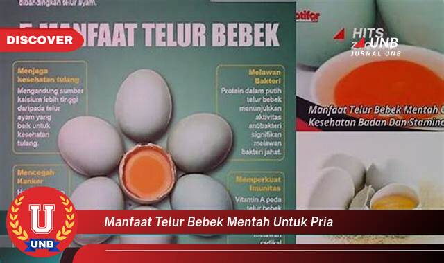 Ketahui 10 Manfaat manfaat telur bebek mentah untuk pria yang Wajib Kamu Intip