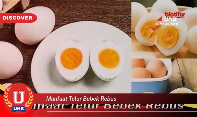 Temukan 9 Manfaat Telur Bebek Rebus untuk Kesehatan Tubuh Anda