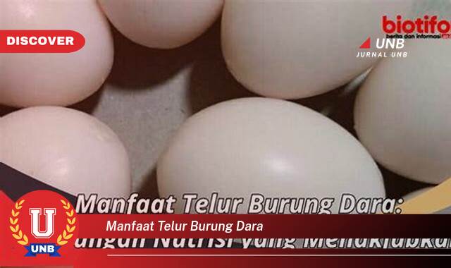 Temukan 8 Manfaat Telur Burung Dara untuk Kesehatan, Kecantikan, dan Kesuburan