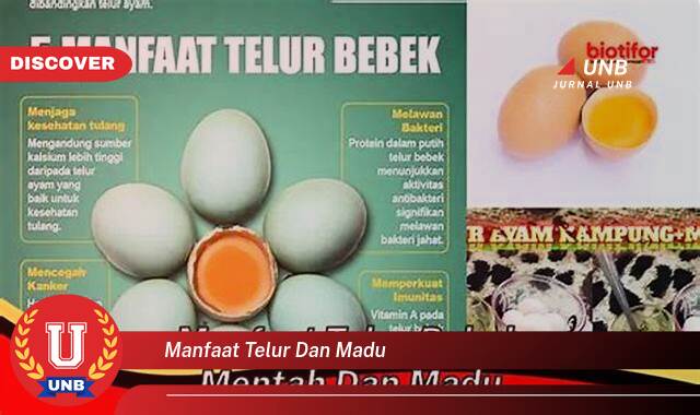 8 Manfaat manfaat telur dan madu yang tidak Semua Orang Tau