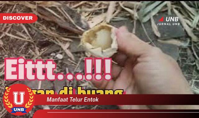 Temukan 8 Manfaat Telur Entok untuk Kesehatan, Kecantikan, dan Lainnya