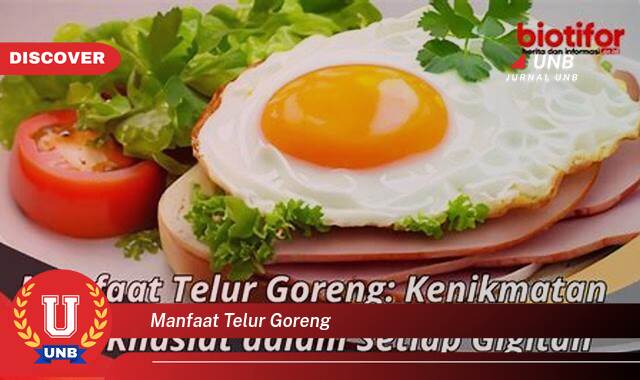 Temukan 9 Manfaat Telur Goreng,  Sederhana, Lezat, dan Bernutrisi Untuk Kesehatan Anda