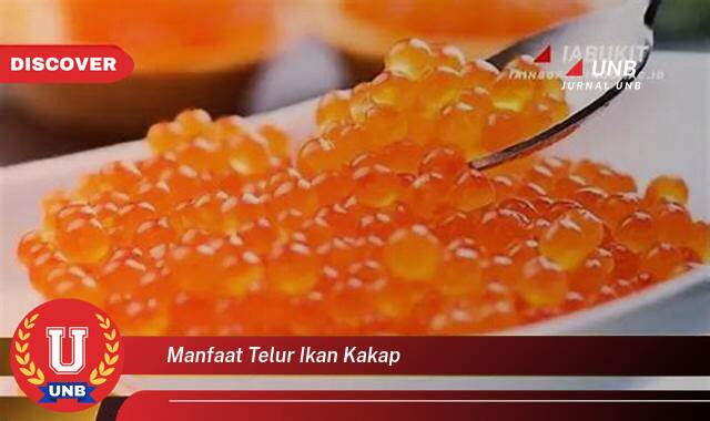 Temukan 9 Manfaat manfaat telur ikan kakap yang Wajib Kamu Intip