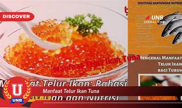 Ketahui 9 Manfaat manfaat telur ikan tuna yang Wajib kamu ketahui