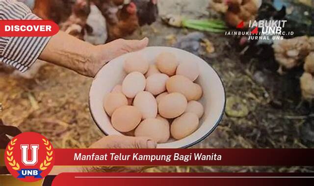 Temukan 9 Manfaat Telur Kampung Bagi Wanita, Meningkatkan Kesehatan dan Kesejahteraan Anda Secara Alami