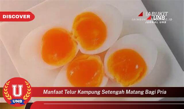 Inilah 10 Manfaat manfaat telur kampung setengah matang bagi pria yang Jarang Diketahui