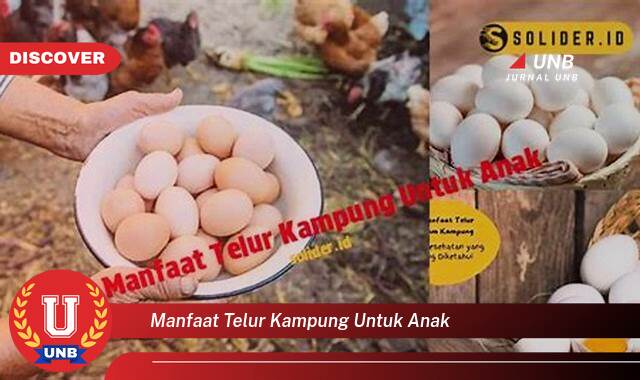 Ketahui 8 Manfaat manfaat telur kampung untuk anak yang tidak Semua Orang Tau