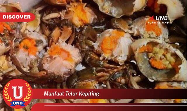 Ketahui 8 Manfaat Telur Kepiting yang Wajib Kamu Ketahui