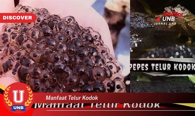 Ketahui 9 Manfaat Telur Kodok yang Bikin Kamu Penasaran