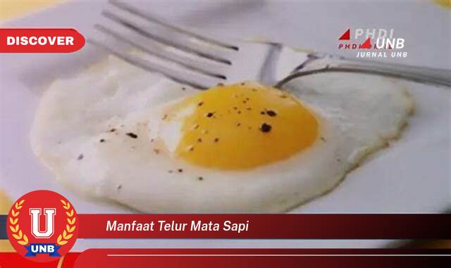 Inilah 8 Manfaat Telur Mata Sapi yang Wajib Kamu Ketahui