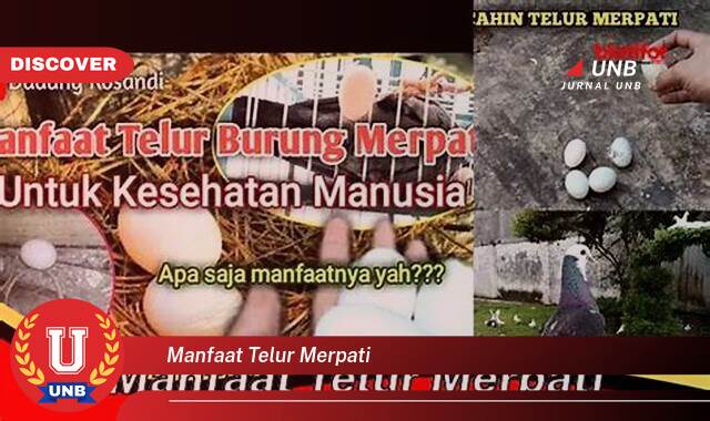 Temukan 9 Manfaat Telur Merpati yang Wajib Kamu Intip