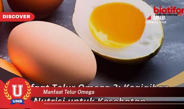 Temukan 10 Manfaat Telur Omega untuk Kesehatan Tubuh dan Otak Anda Temukan 10 Manfaat Telur Omega untuk Kesehatan Tubuh dan Otak Anda