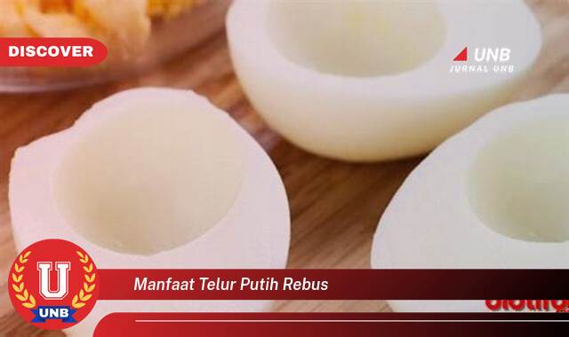 9 Manfaat manfaat telur putih rebus yang Bikin Kamu Penasaran