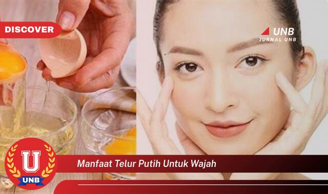 Temukan 10 Manfaat manfaat telur putih untuk wajah yang Jarang Diketahui