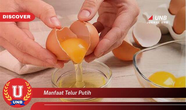 Temukan 8 Manfaat Telur Putih untuk Kesehatan, Kecantikan, dan Kebugaran