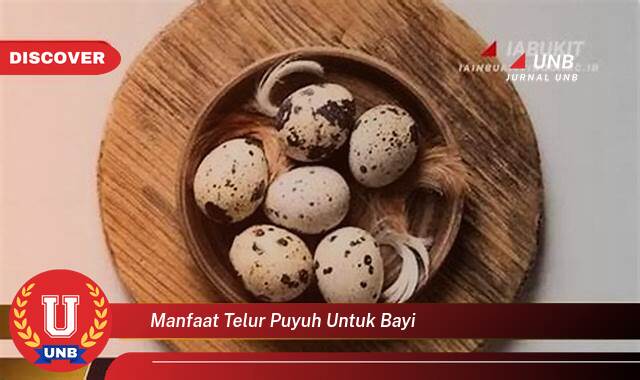 Temukan 8 Manfaat Telur Puyuh untuk Bayi,  Kebaikan Gizi dan Cara Penyajian yang Aman