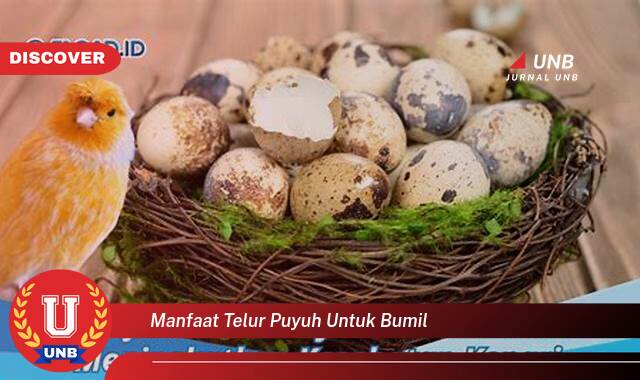 Temukan 10 Manfaat Telur Puyuh untuk Bumil, Nutrisi Lengkap bagi Kehamilan Sehat