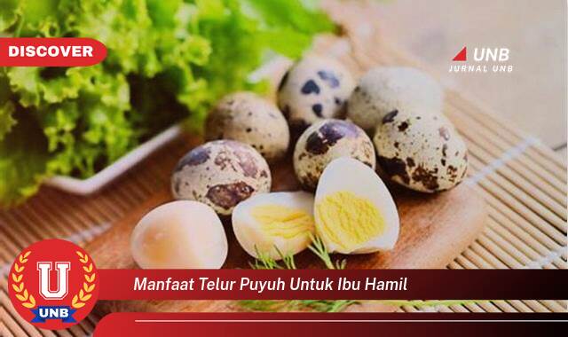 Temukan 9 Manfaat Telur Puyuh untuk Ibu Hamil, Nutrisi Penting bagi Janin dan Bunda