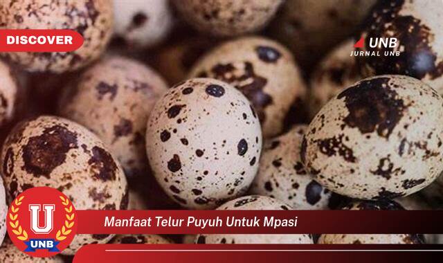 Ketahui 10 Manfaat manfaat telur puyuh untuk mpasi yang Bikin Kamu Penasaran