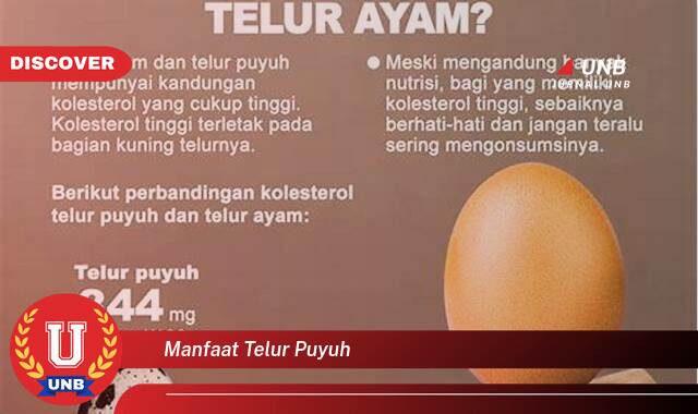 Temukan 10 Manfaat Telur Puyuh untuk Kesehatan Anda yang Luar Biasa