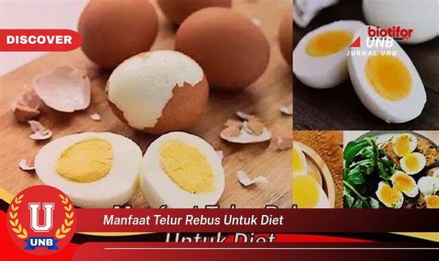 Temukan 9 Manfaat Telur Rebus untuk Diet, Turunkan Berat Badan Secara Efektif dan Sehat