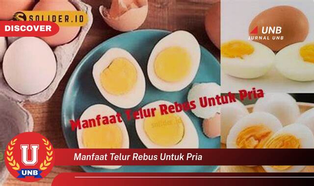 Ketahui 7 Manfaat Telur Rebus untuk Pria yang Jarang Diketahui