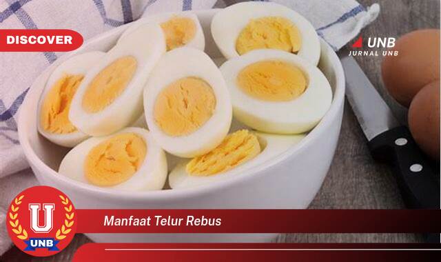 Temukan 9 Manfaat Telur Rebus untuk Kesehatan, Diet, dan Kecantikan Temukan 9 Manfaat Telur Rebus untuk Kesehatan, Diet, dan Kecantikan