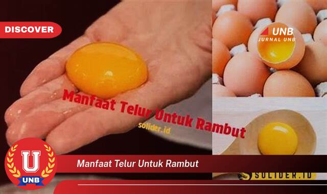 Temukan 10 Manfaat Telur untuk Rambut,  Rahasia Rambut Sehat, Kuat, dan Berkilau Alami