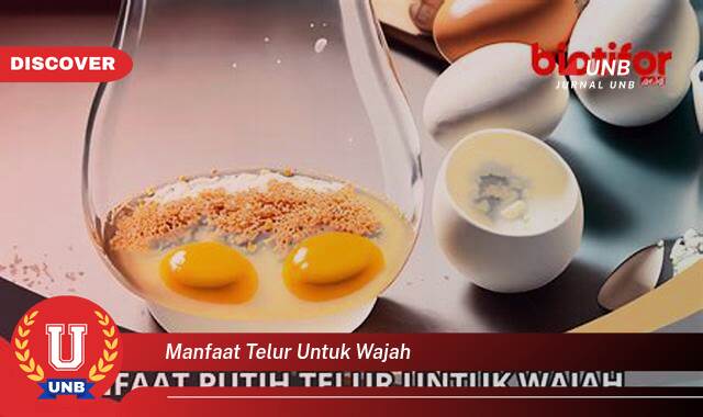 8 Manfaat manfaat telur untuk wajah yang tidak Semua Orang Tau
