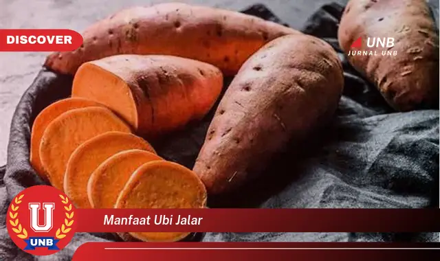 manfaat ubi jalar