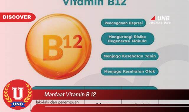 Temukan 10 Manfaat Vitamin B12 untuk Kesehatan Tubuh Anda