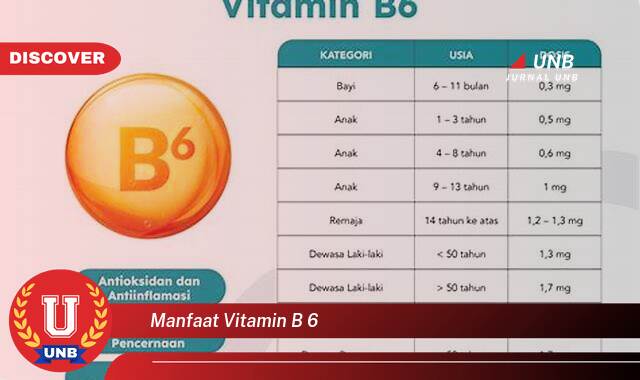 Temukan 9 Manfaat Vitamin B6 untuk Kesehatan Tubuh Anda