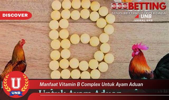 Inilah 10 Manfaat manfaat vitamin b complex untuk ayam aduan yang Jarang Diketahui