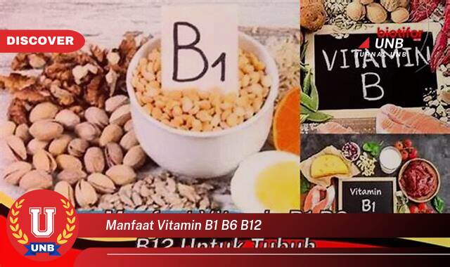 Temukan 10 Manfaat Vitamin B1, B6, dan B12 untuk Kesehatan Tubuh Anda