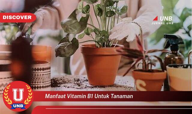 Temukan 9 Manfaat manfaat vitamin b1 untuk tanaman yang Wajib Kamu Intip