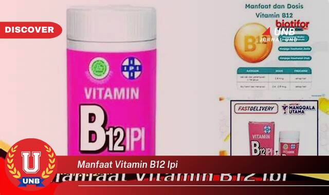 Temukan 8 Manfaat Vitamin B12 IPI untuk Kesehatan Tubuh Anda