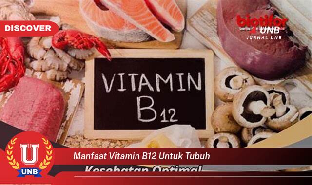 Temukan 10 Manfaat Vitamin B12 untuk Tubuh, Energi, Saraf, dan Kesehatan Optimal